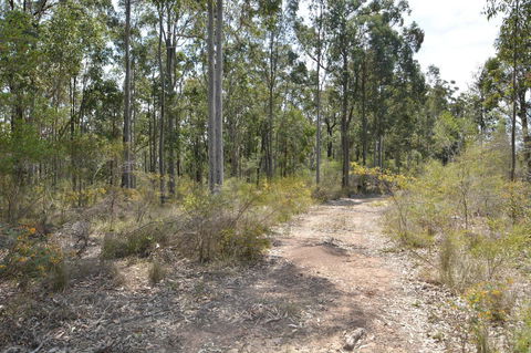 JE Guesthouse, Central To All The Hunter Valley Has To Offer - Kempsey Accommodation 44