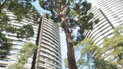 SkyGarden Sydney Olympic Park 3 & 4 Bedroom City View - Kempsey Accommodation 33