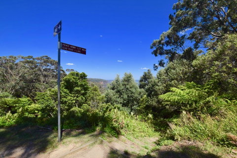 Dangal Gardens - Kempsey Accommodation 30