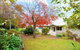 Dangal Gardens - thumb 15