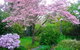 Dangal Gardens - thumb 3