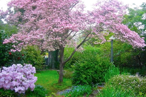 Dangal Gardens - Kempsey Accommodation 3