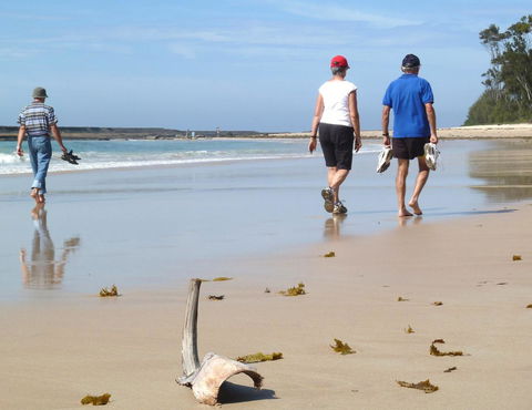 Mollymook Surfbeach Motel & Apartments - Kempsey Accommodation 13