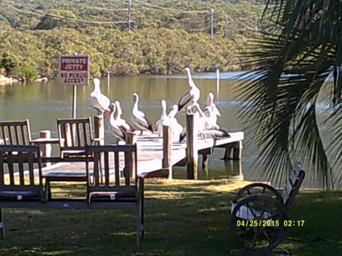 Pelican H2O One & Two Bedroom Apartments - Kempsey Accommodation 9