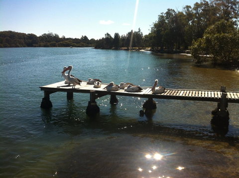 Pelican H2O One & Two Bedroom Apartments - Kempsey Accommodation 5