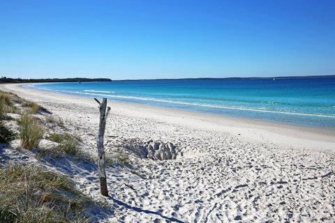 Sandy Toes Beach House Jervis Bay - 2min To Beach - Kempsey Accommodation 22