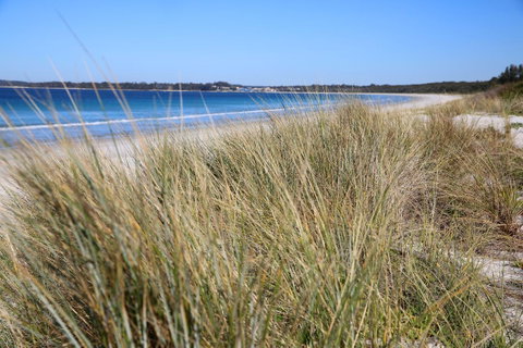 Sandy Toes Beach House Jervis Bay - 2min To Beach - Kempsey Accommodation 23