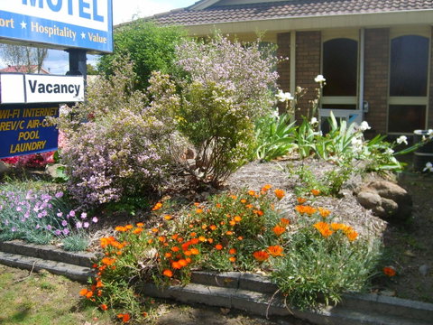 Albury City Motel - Kempsey Accommodation 29