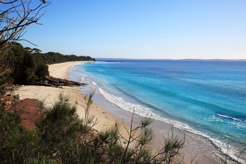 Seaglass - Stunning Views Of Jervis Bay - Kempsey Accommodation 37