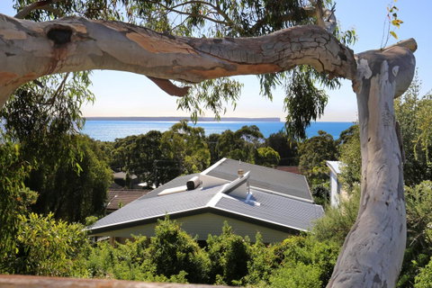Seaglass - Stunning Views Of Jervis Bay - Kempsey Accommodation 26