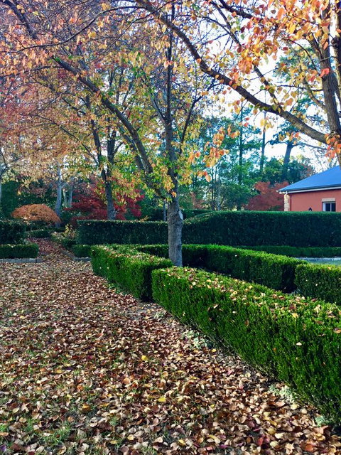 Chanticleer Gardens Barn Cottage With A Pool - Kempsey Accommodation 37