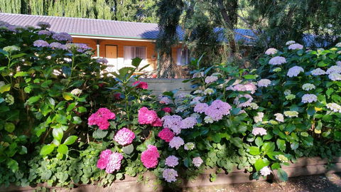 Moruya Motel - Kempsey Accommodation 28