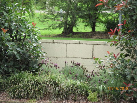 Moruya Motel - Kempsey Accommodation 16