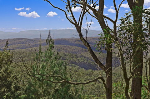 Mountainside B & B - Kempsey Accommodation 9