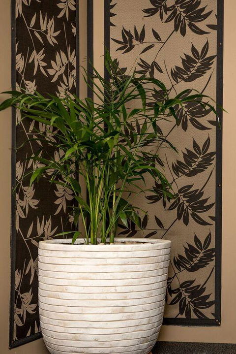 Mountainside B & B - Kempsey Accommodation 30