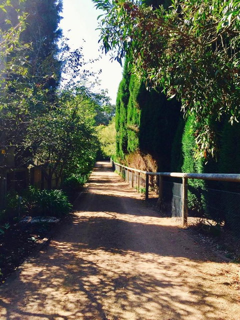 Bowral Escape - Kempsey Accommodation 24