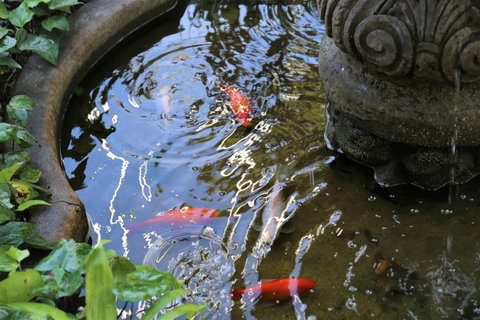 Manor Boutique Hotel Sydney - Kempsey Accommodation 25