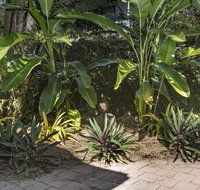 Nineteen on Nudl - Kempsey Accommodation