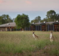Wildman Wilderness Lodge - Kempsey Accommodation