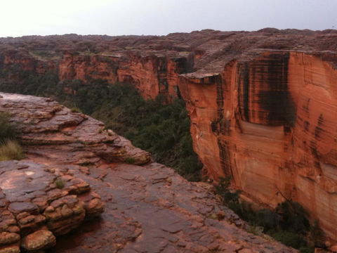 Discovery Resorts - Kings Canyon - Kempsey Accommodation 35
