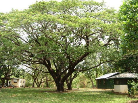 Mount Bundy Station - Kempsey Accommodation 26