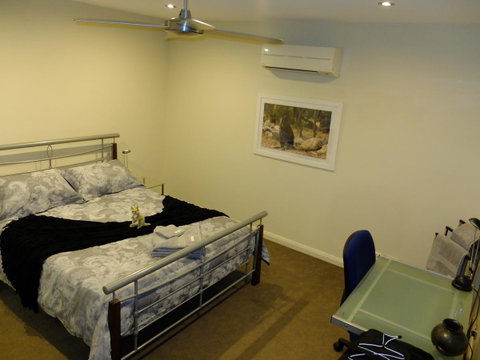 Rock Wallaby - Kempsey Accommodation 9