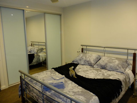 Rock Wallaby - Kempsey Accommodation 14