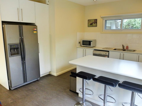 Rock Wallaby - Kempsey Accommodation 1