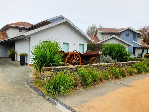 Rock Wallaby - Kempsey Accommodation 5