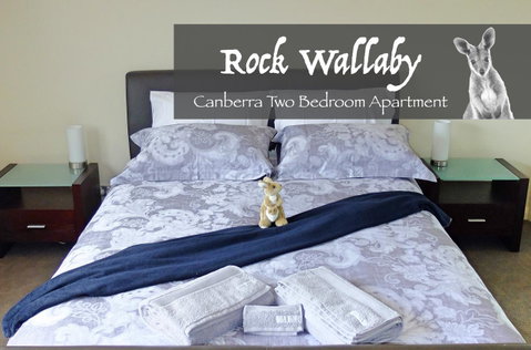 Rock Wallaby - Kempsey Accommodation 4