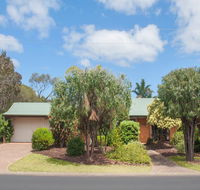 Bottlebrush - Kempsey Accommodation