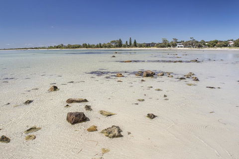 Bottlebrush - Kempsey Accommodation 2