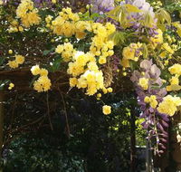 Bowral Road Bed and Breakfast - Kempsey Accommodation
