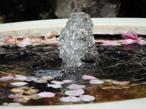 Bowral Road Bed And Breakfast - Kempsey Accommodation 2