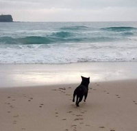 Breakers at Mudjimba Beach - Kempsey Accommodation