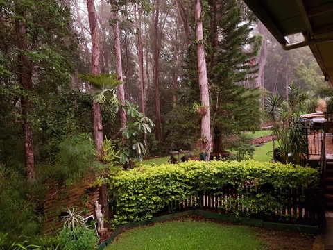 Buderim Forest Hideaway - Kempsey Accommodation 2