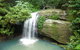 Buderim Forest Hideaway - thumb 0