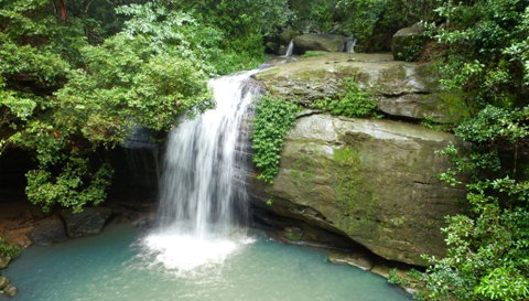 Buderim Forest Hideaway - Kempsey Accommodation 0