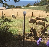 Cape View B and B - Kempsey Accommodation