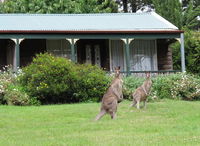 Book Mount Victoria Accommodation Vacations Kempsey Accommodation Kempsey Accommodation