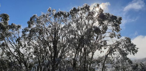 Cedarwood Apartments - Kempsey Accommodation 1