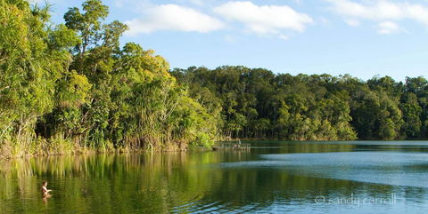 Chambers Wildlife Rainforest Lodges - Kempsey Accommodation 1
