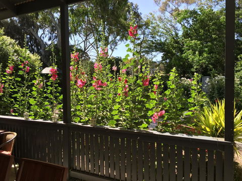 Clarevale Cottage B&B - Kempsey Accommodation 1