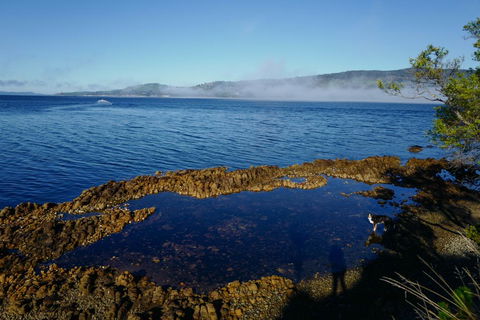 Coast House Tasmania - Kempsey Accommodation 2