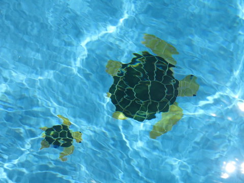 Coogee WA Accomodation - Kempsey Accommodation 1