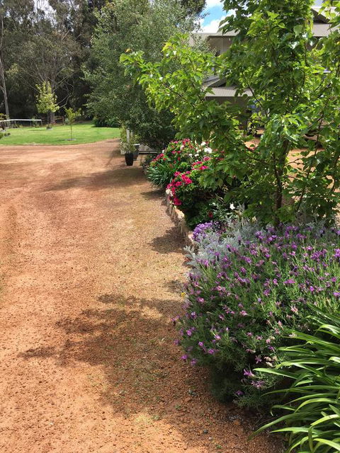 Coolajarra B&B - Kempsey Accommodation 2