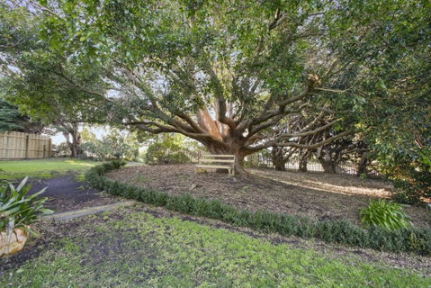 Cosy Californian Bungalow - Kempsey Accommodation 1