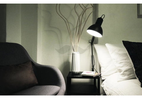 Cosy Home In The Heart Of Sydney - Kempsey Accommodation 3