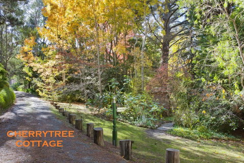 Crafers Cottages - Kempsey Accommodation 1