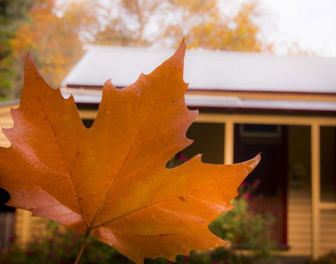 Creek Cottage - Kempsey Accommodation 3